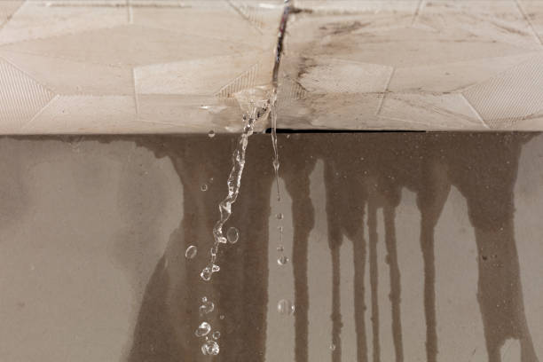 Professional Sewage Cleanup technician working in Mead, CO